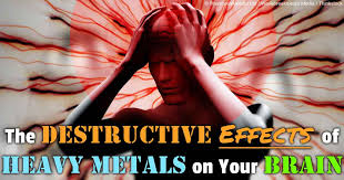 Αποτέλεσμα εικόνας για heavy metals human health effects