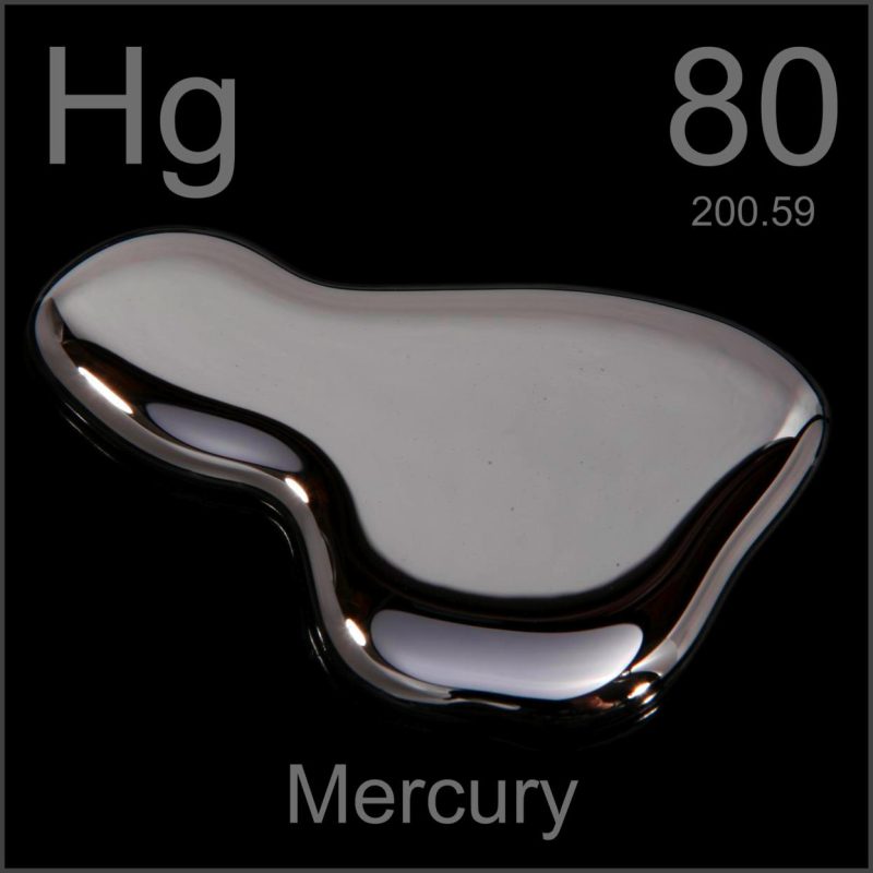 Mercury and Amalgams